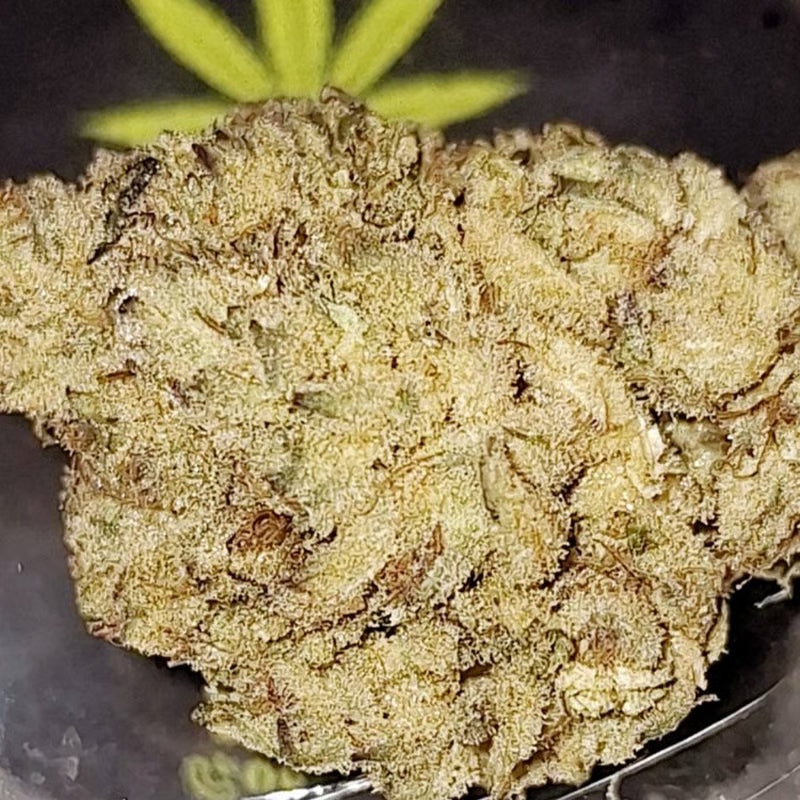 Rose Gold Runtz - Hybrid - THC Flower