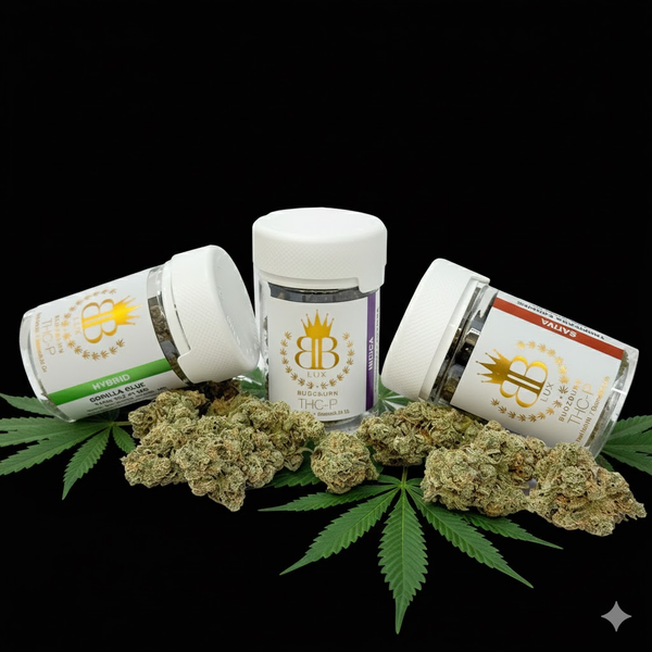 QUESTIONS? WE'VE GOT ANSWERS