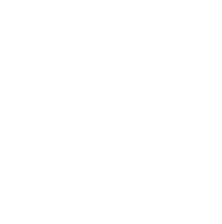 Budzburn