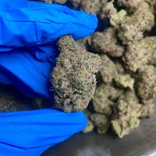 White Chocolate Chip - Hybrid - THCa Flower